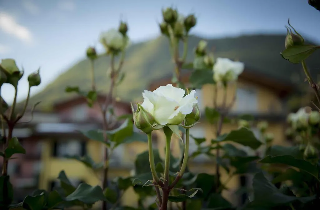 Residence La Collina Vercana Apart Otel